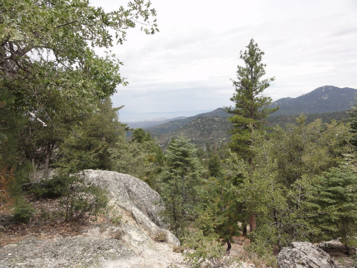 24810 Old Banning Road Idyllwild, CA 92549 - Photo 6 of 22 a view of a dry yard with green space