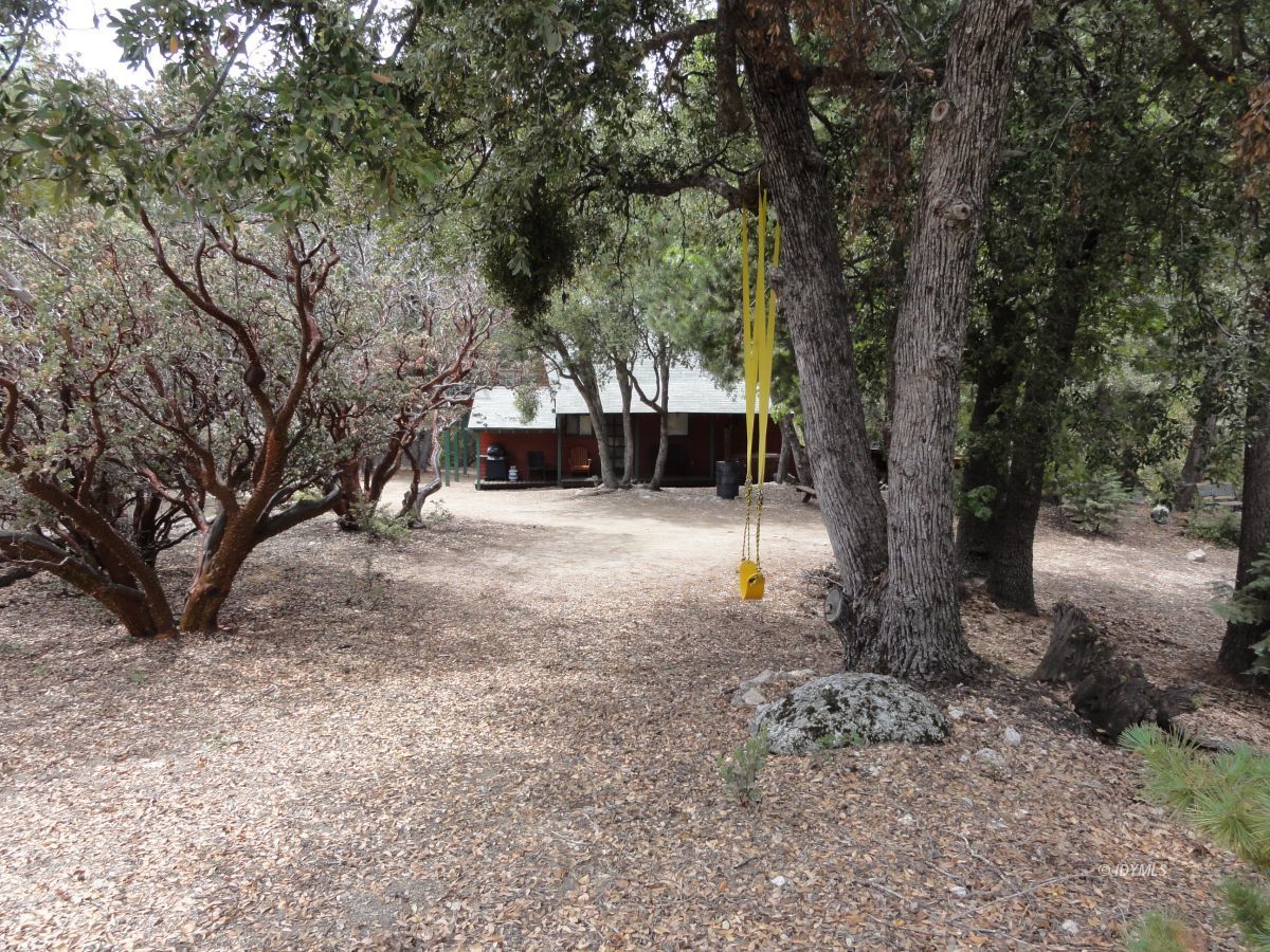 24810 Old Banning Road Idyllwild, CA 92549 - Photo 8 of 22 a view of a yard with a tree