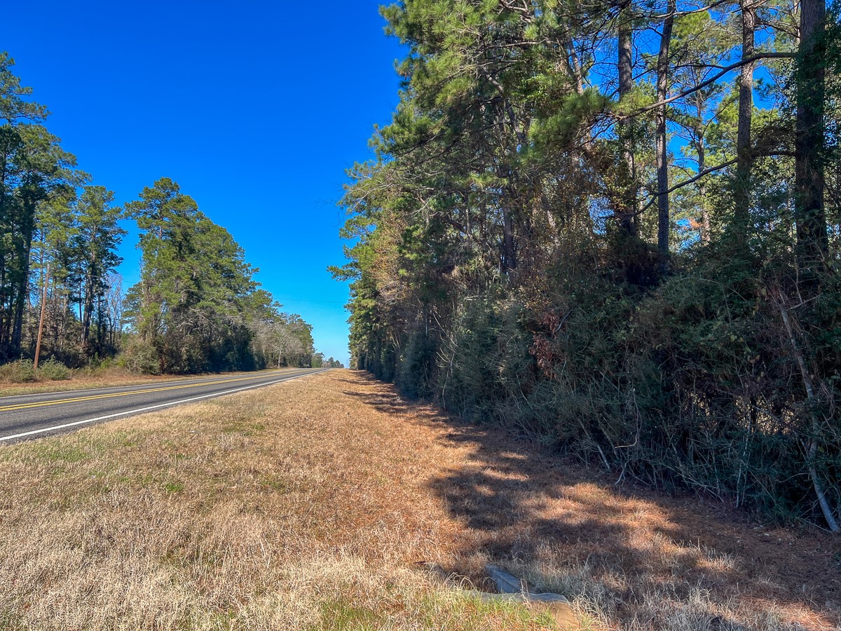 12 Highway 287 Pennington, TX 75856 - Photo 24 of 24 a view of a yard with large trees