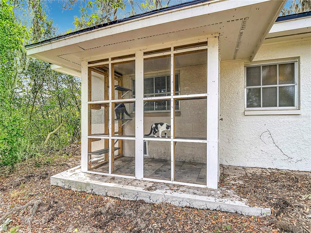 5433 Front Drive Holiday, FL 34690 - Photo 57 of 68