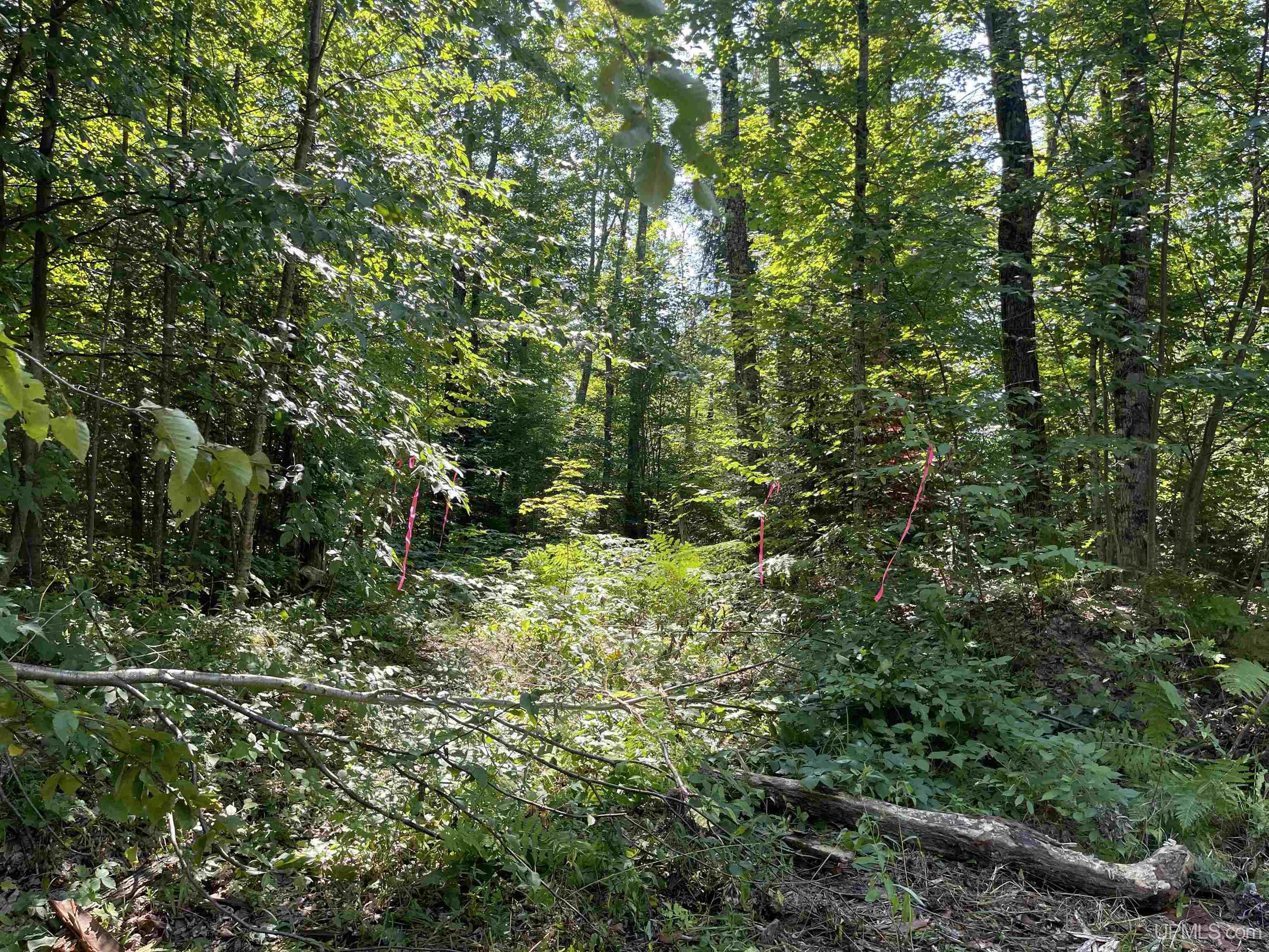 Tbd Tbd Sand Island Road Bessemer, MI 49911 - Photo 1 of 10