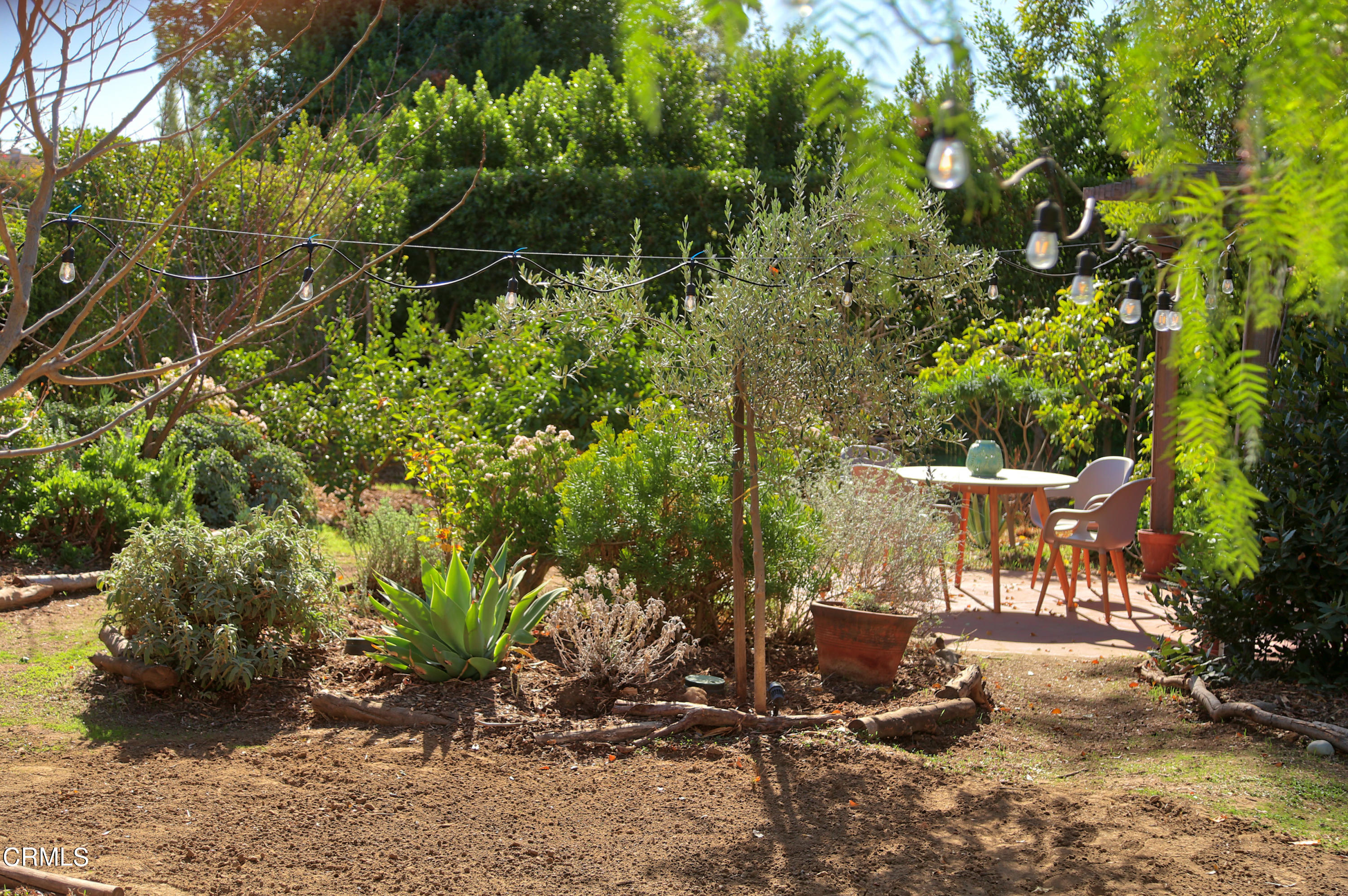 774 Coniston Road Pasadena, CA 91103 - Photo 17 of 21 IMG_9907