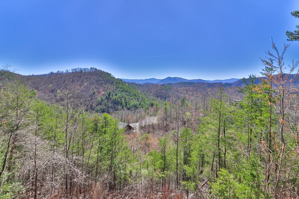 2969 Redtail Road Sevierville, TN 37862 - Photo 44 of 49 Gallery Image 44