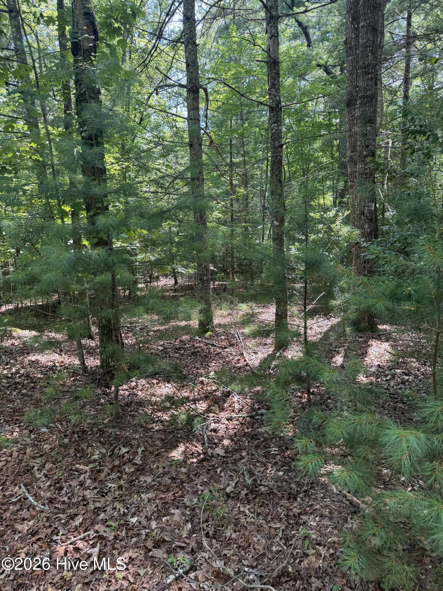 1 Friendship Church Road Murphy, NC 28906 - Photo 7 of 8