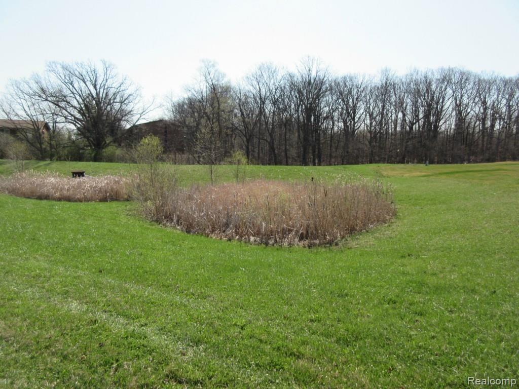 1502 Riversedge Drive Saline, MI 48176 - Photo 20 of 28