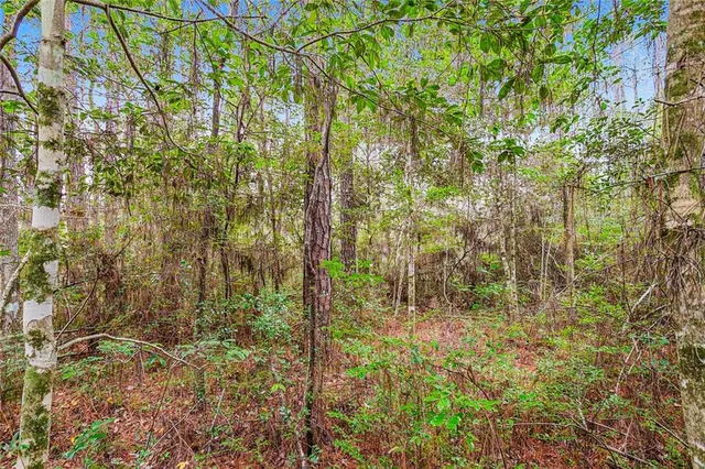 $49,000 | Lot 63 Abney Drive, Mandeville, LA 70471