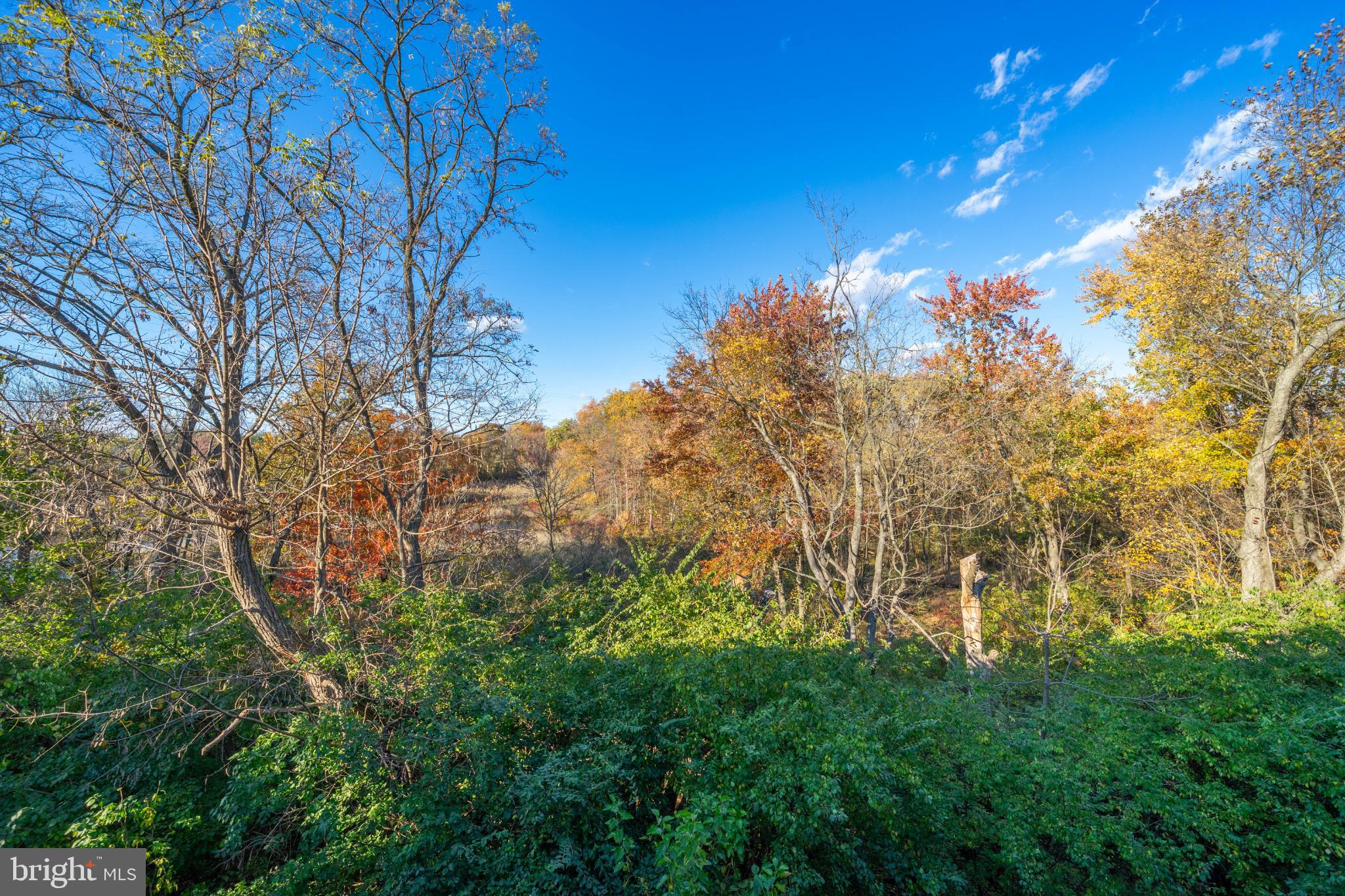 3604B Chadbury Road Mount Laurel, NJ 08054 - Photo 28 of 28 a view of a yard with a tree