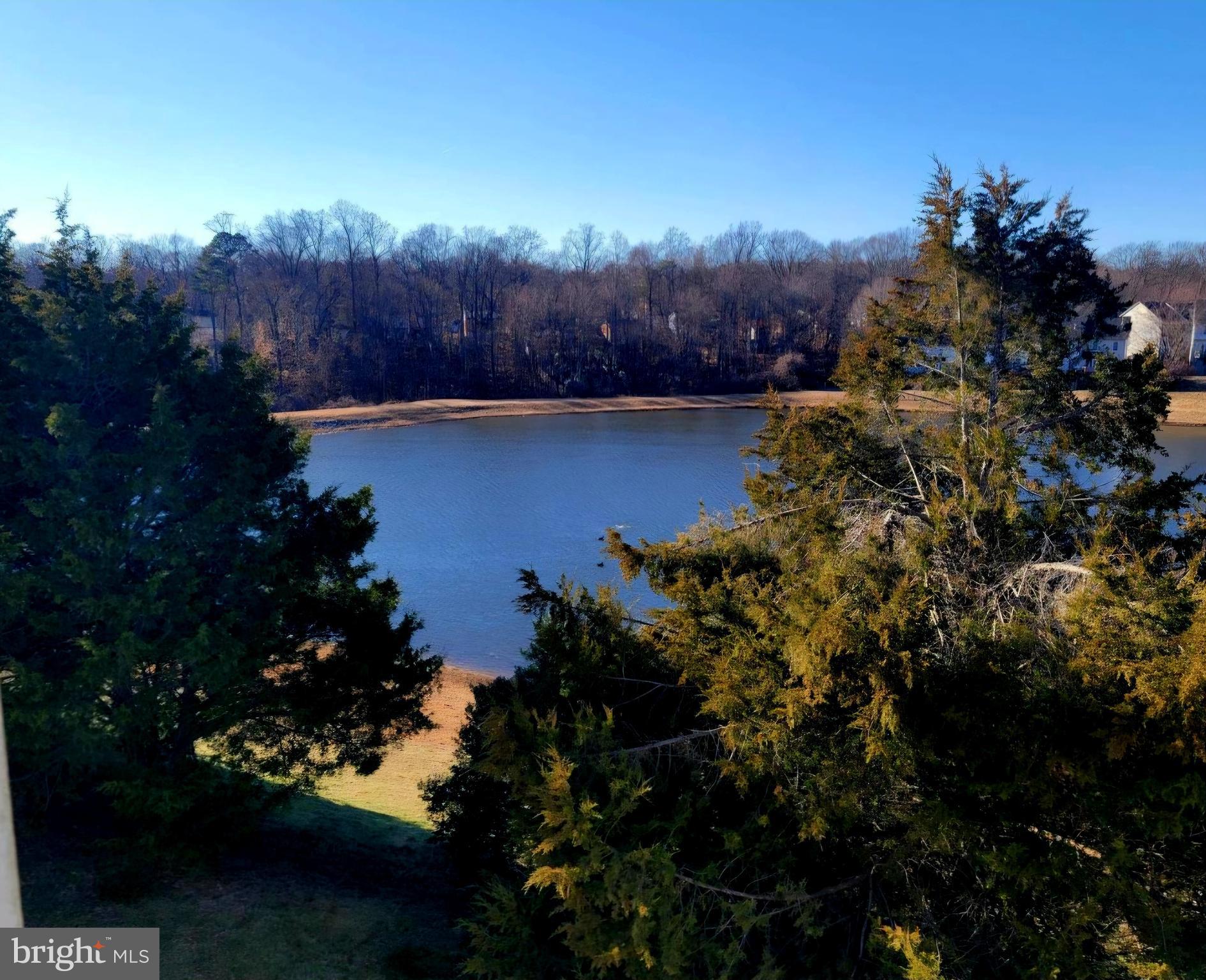 14154 Cuddy Loop Woodbridge, VA 22193 - Photo 7 of 26 View from deck