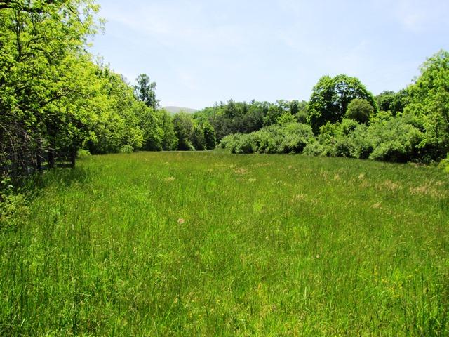 329 Trout Run Road Waiteville, WV 24984 - Photo 67 of 91 Gallery Image 67