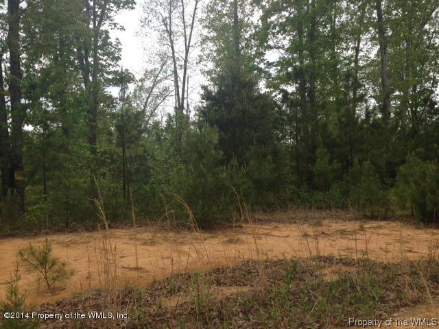 10075 Old Stage Road Toano, VA 23168 - Photo 5 of 22 Gallery Image 5