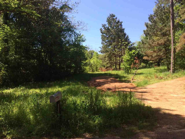 Lot 8 Duckpond Road Natchez, MS 39120 - Photo 1 of 1 Main View