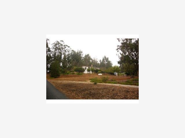 407 Paradise Road, Unit D Salinas, CA 93907 - Photo 4 of 8 Gallery Image 4