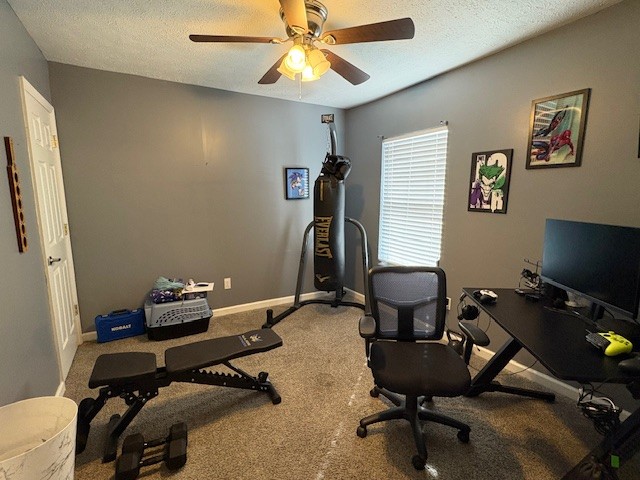 125 McGinness Avenue Carthage, TN 37030 - Photo 14 of 28 a room with gym equipment and a window