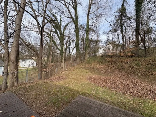 a view of a yard with trees