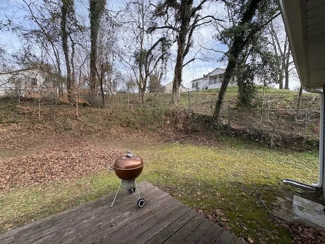 a view of a back yard with green space