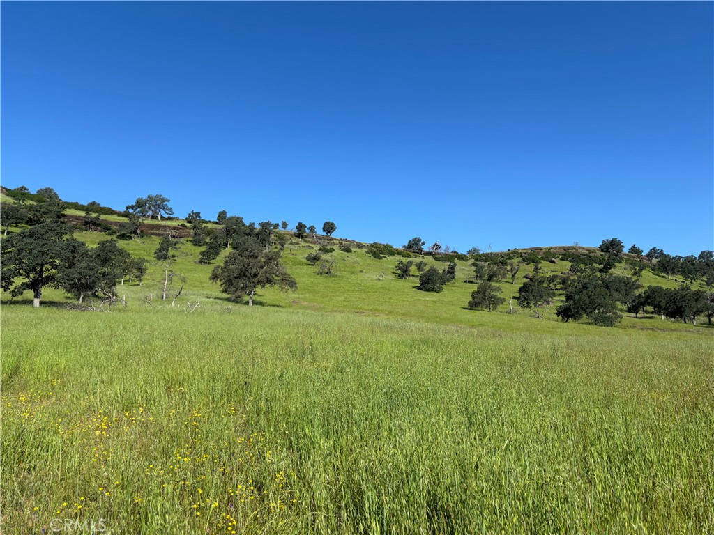 0 Cobble Creek Road Oroville, CA 95965 - Photo 33 of 55 a view of a lush green space with a lake view