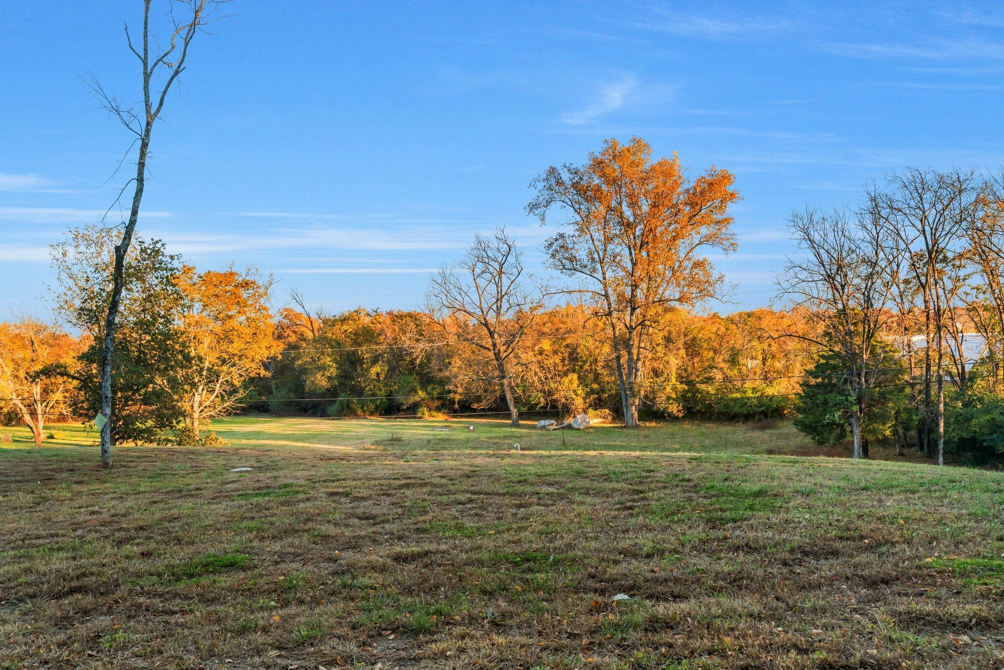 4 Hidden Acres Lebanon, TN 37087 - Photo 69 of 77 a view of a field with an trees
