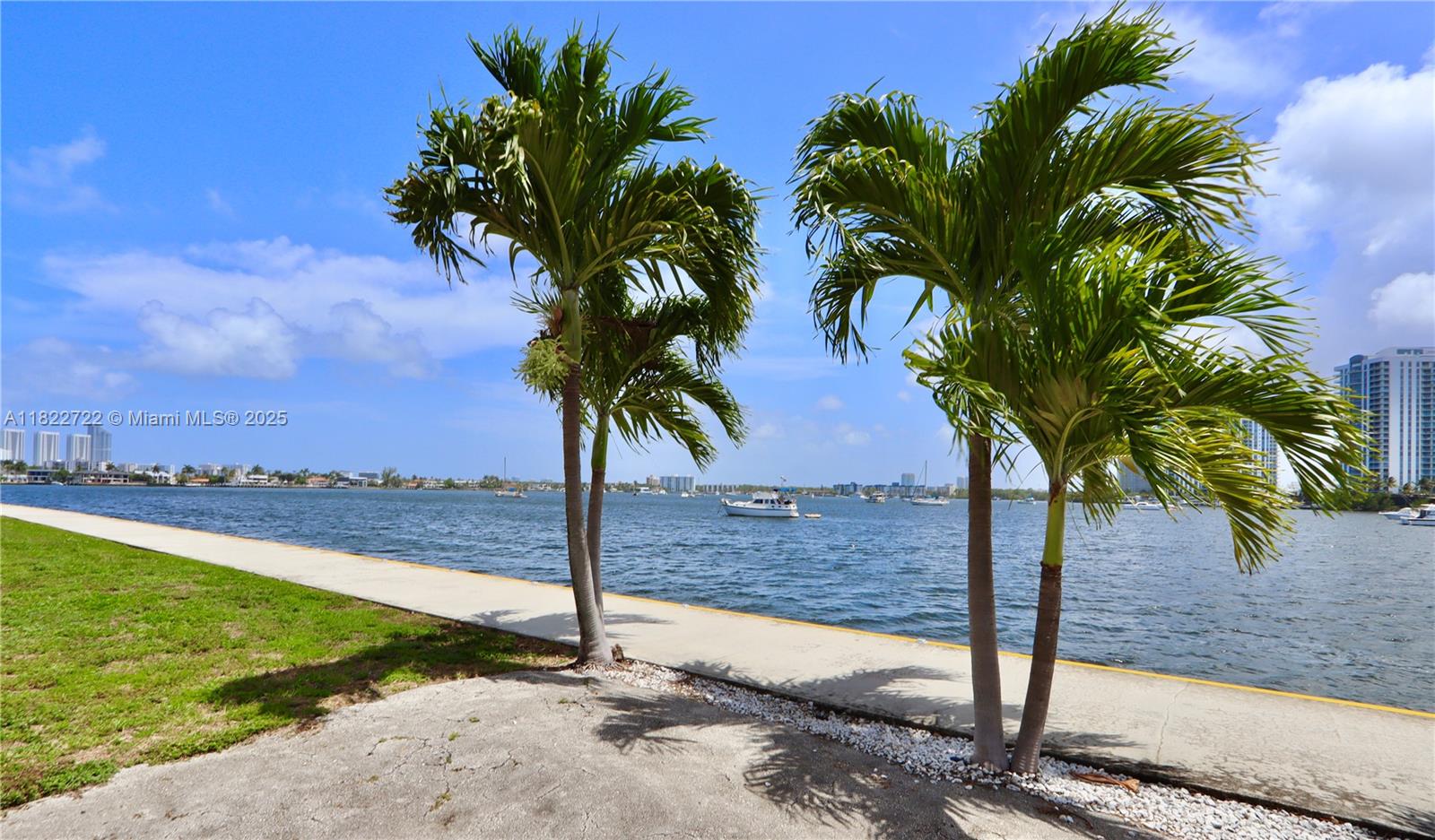 2920 Point E Drive, Unit N208 Aventura, FL 33160 - Photo 31 of 34 a view of a palm tree with an ocean view