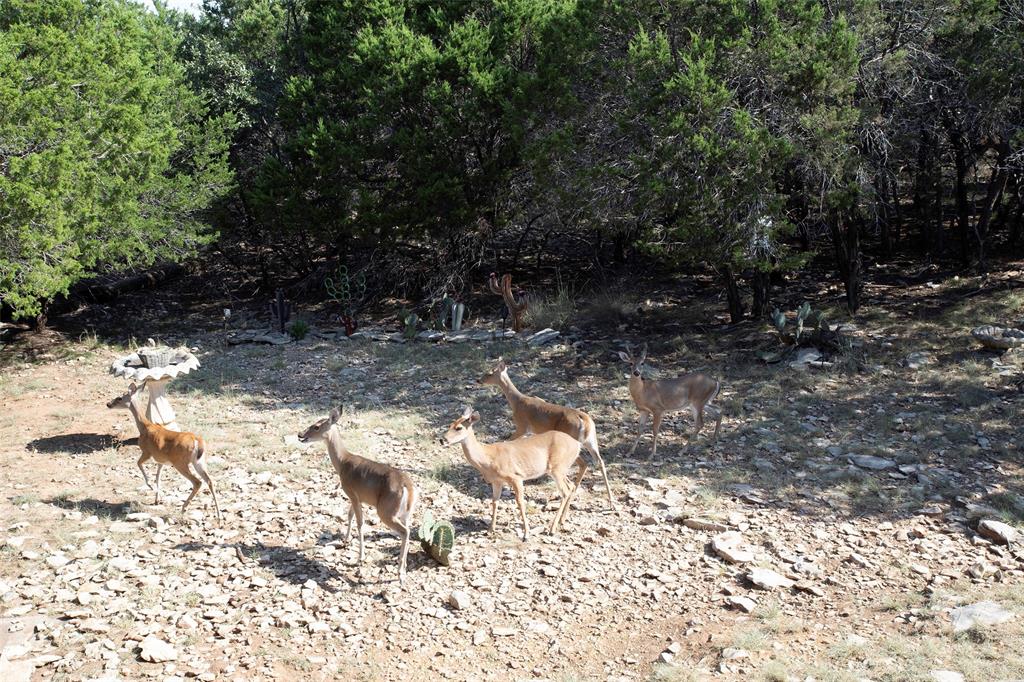 880 Cliffs Drive Graford, TX 76449 - Photo 38 of 40 a wooden bench with view of trees