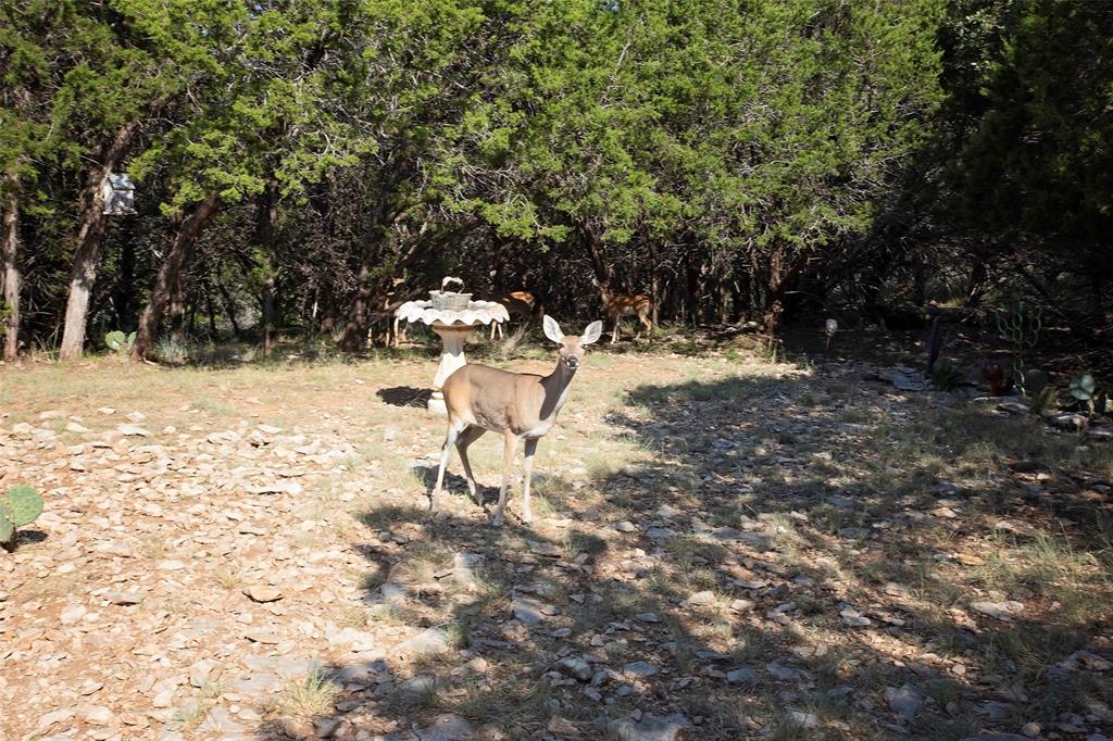 880 Cliffs Drive Graford, TX 76449 - Photo 40 of 40 a view of yard