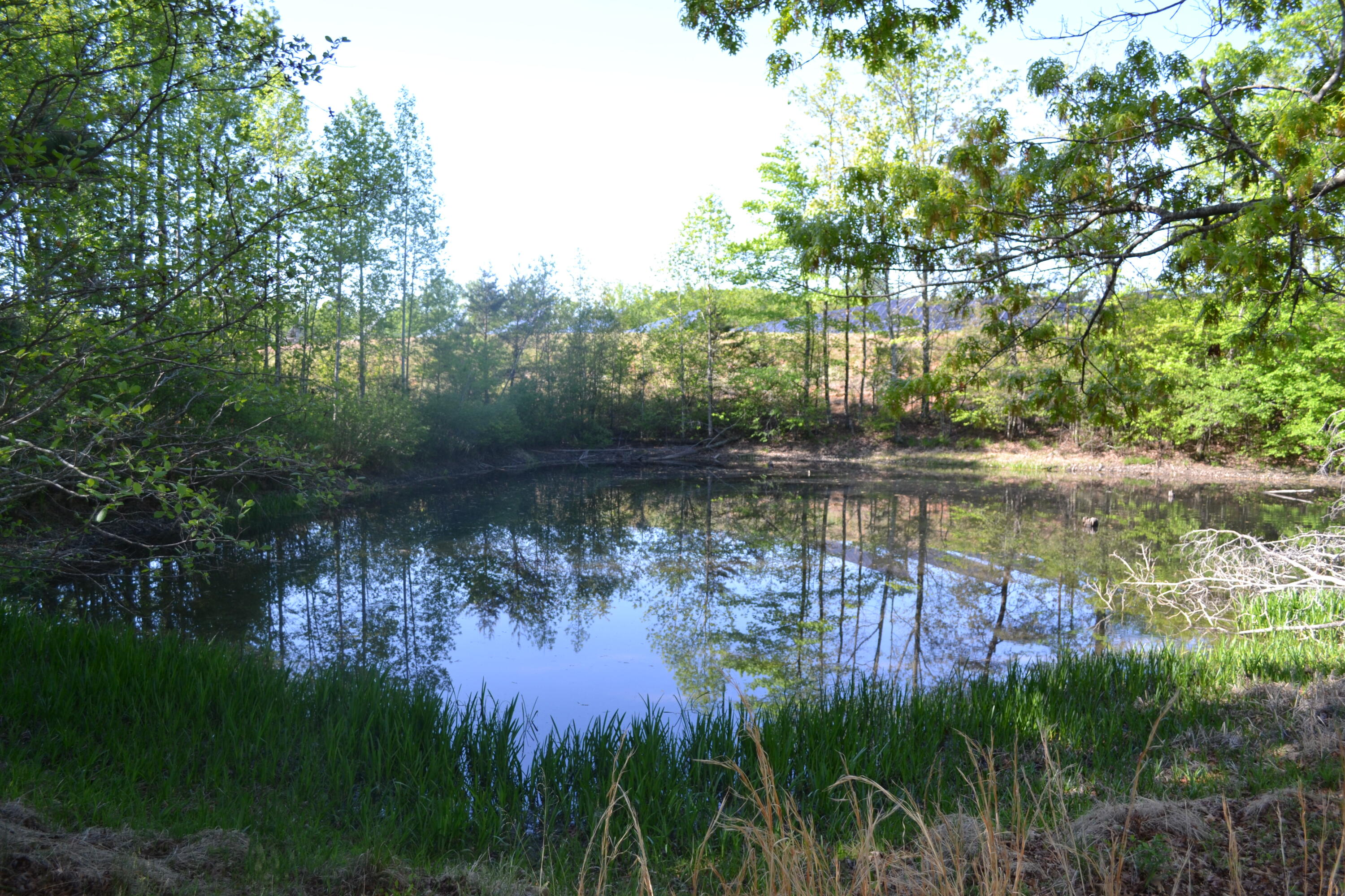 2392 Mountain Valley Road Axton, VA 24054 - Photo 54 of 74 a view of lake with green space