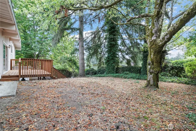 a view of a backyard with a trees