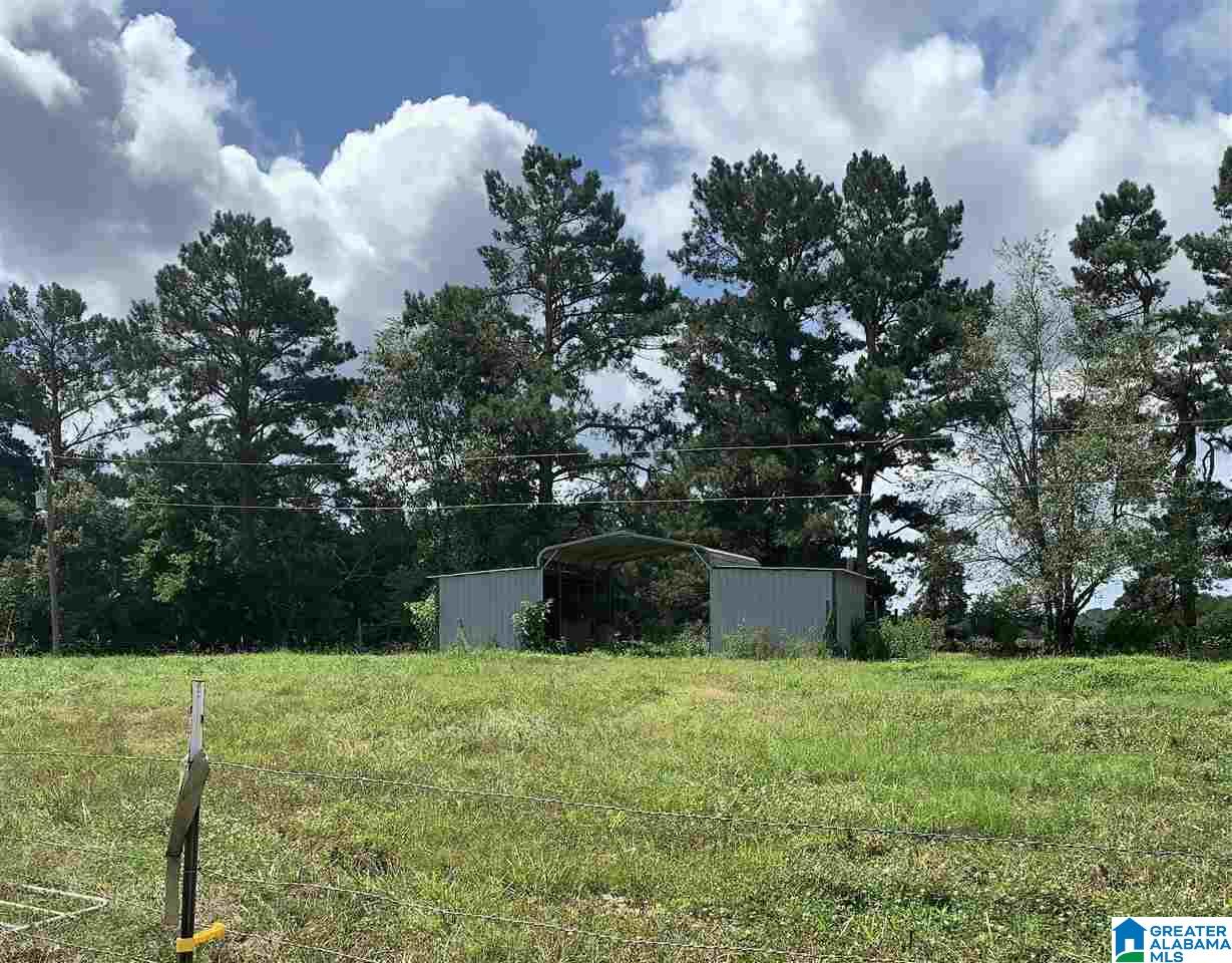 2794 Edgar Chapel Road Phil Campbell, AL 35581 - Photo 3 of 15