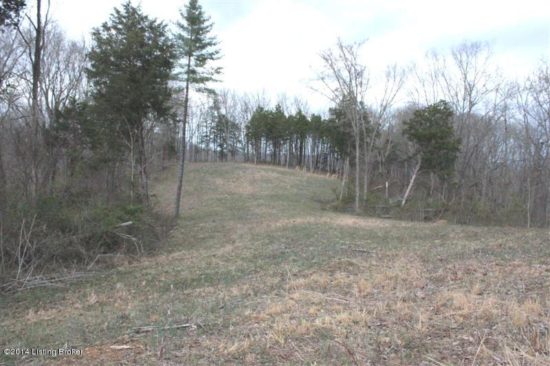0 White Ridge Road Burkesville, KY 42717 - Photo 1 of 13 151 (Medium)