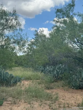 a view of a yard with a tree