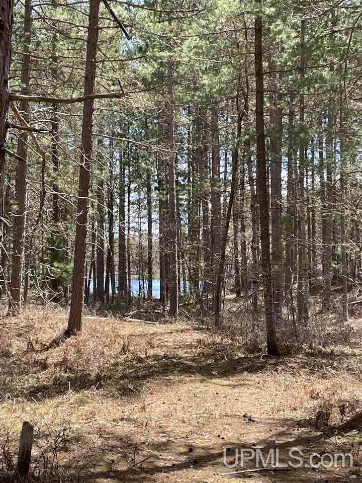 121 West Gordon Road Marquette, MI 49855 - Photo 4 of 14