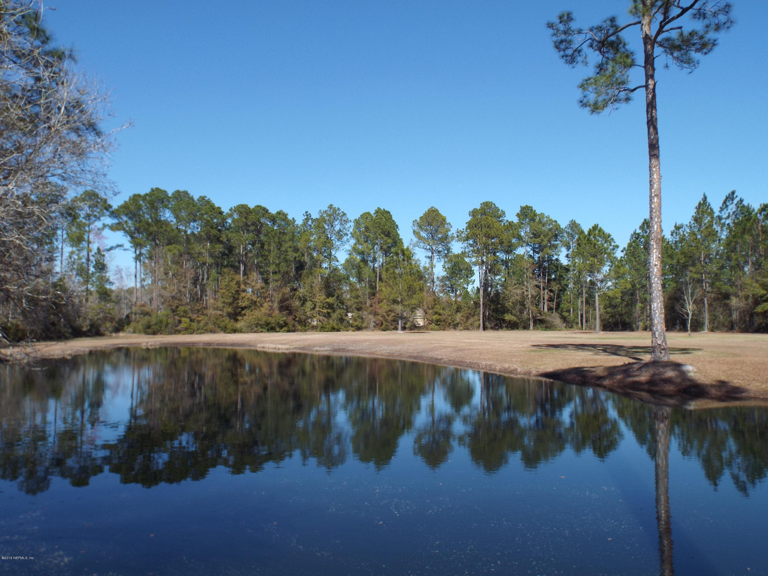2949 Gobbler Road Middleburg, FL 32068 - Photo 31 of 39 Overlooking Pond Toward Property Line