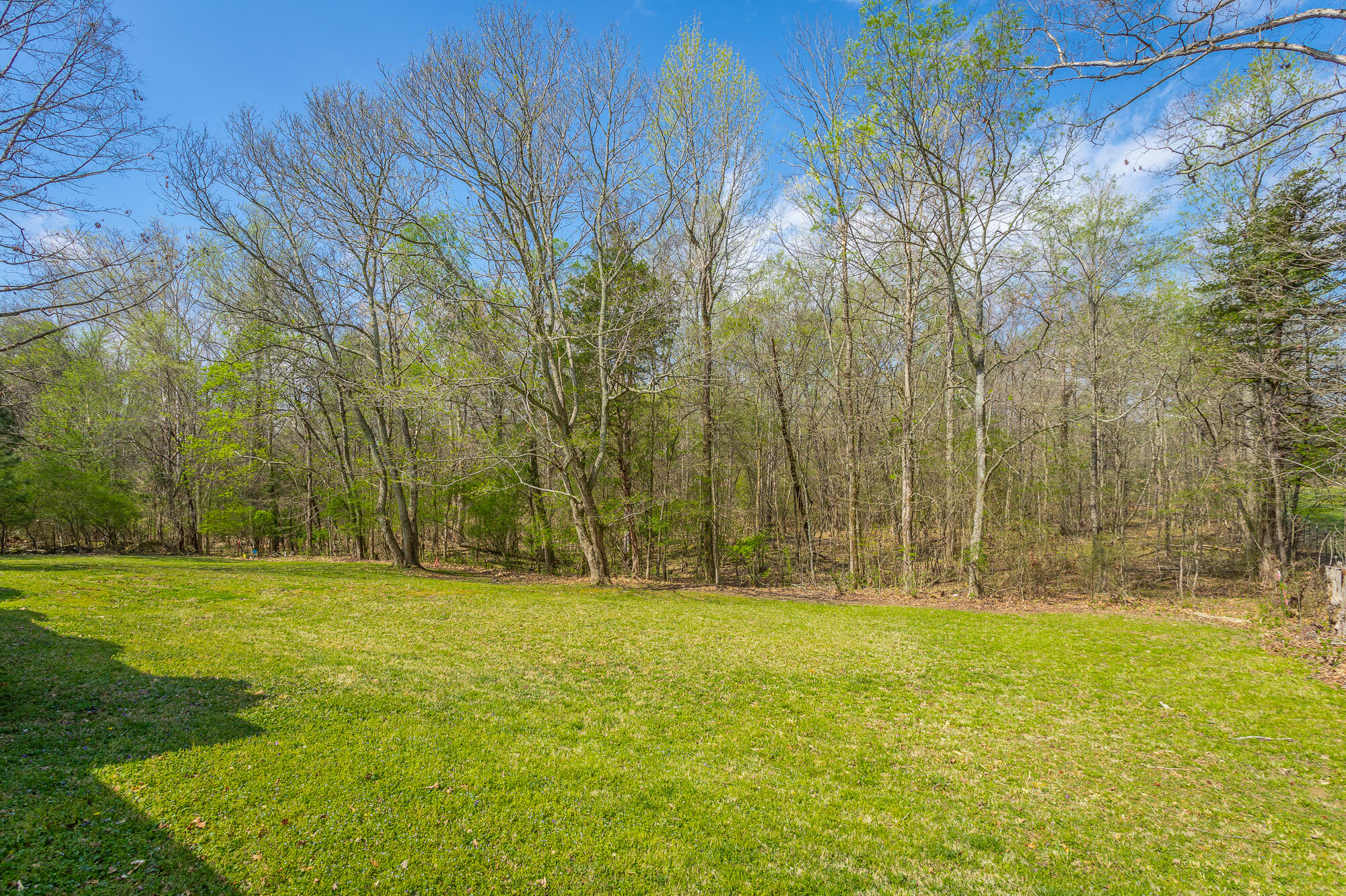 245 New Murraytown Road Northwest Cleveland, TN 37312 - Photo 20 of 25 Back Yard
