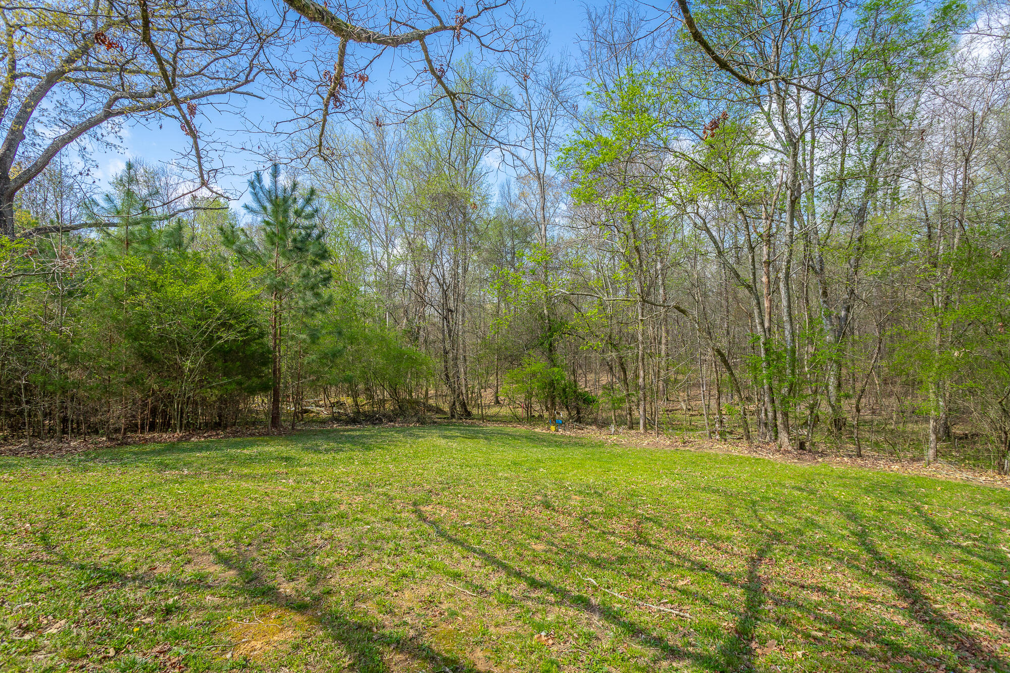 245 New Murraytown Road Northwest Cleveland, TN 37312 - Photo 21 of 25 Back Yard