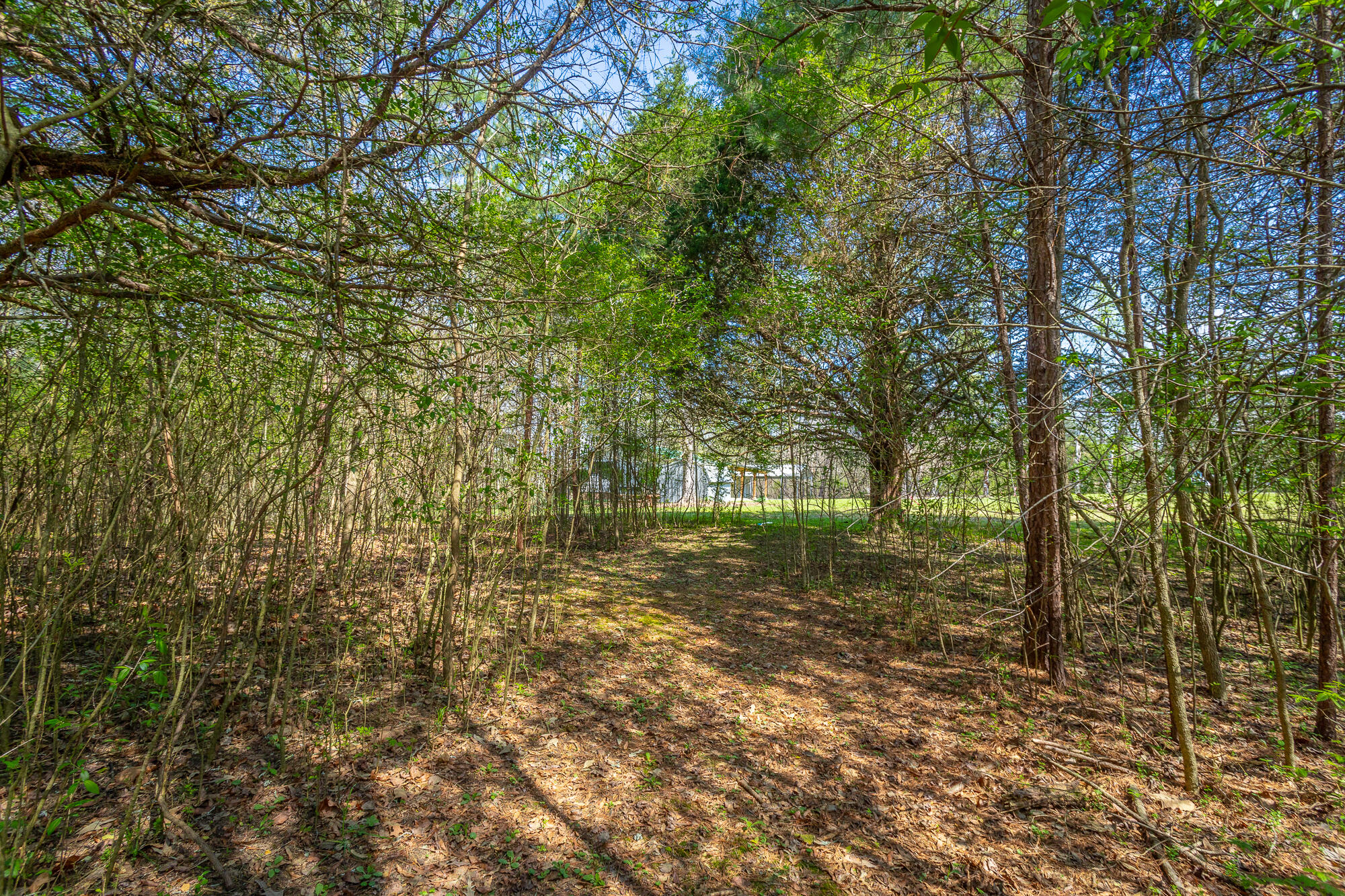 245 New Murraytown Road Northwest Cleveland, TN 37312 - Photo 24 of 25 Back Yard