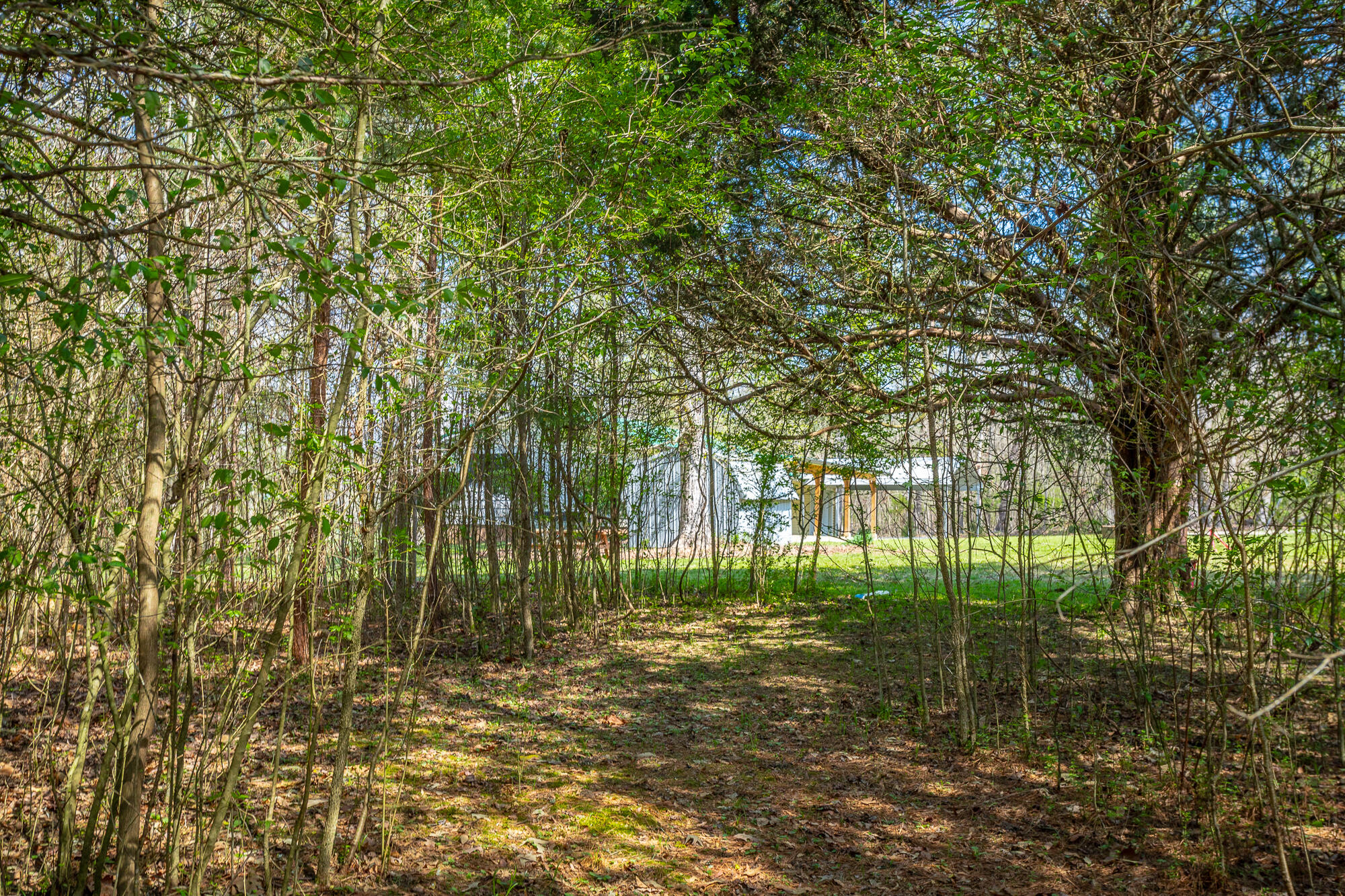 245 New Murraytown Road Northwest Cleveland, TN 37312 - Photo 25 of 25 Back Yard