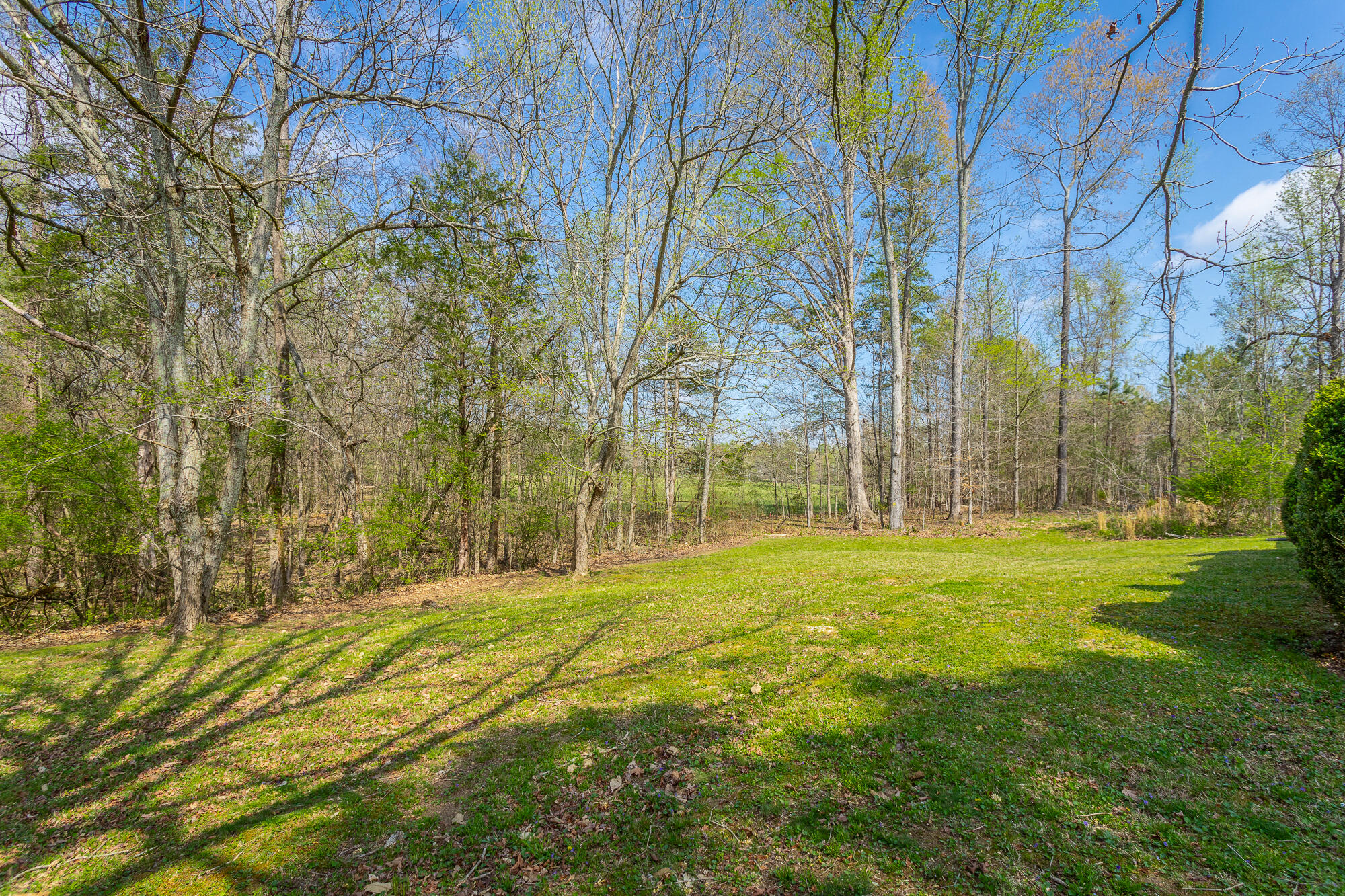 245 New Murraytown Road Northwest Cleveland, TN 37312 - Photo 4 of 25 Back Yard