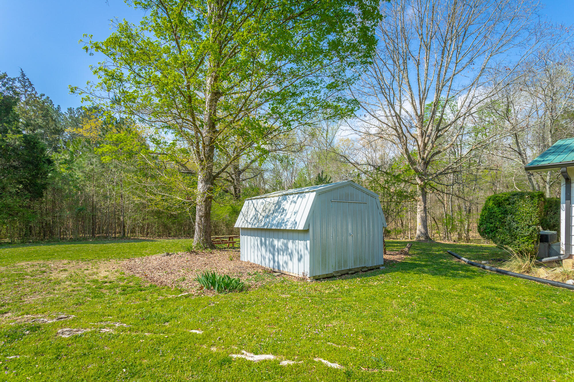 245 New Murraytown Road Northwest Cleveland, TN 37312 - Photo 5 of 25 Back Yard