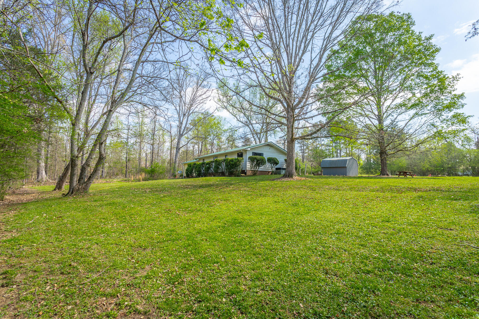 245 New Murraytown Road Northwest Cleveland, TN 37312 - Photo 6 of 25 Back Yard
