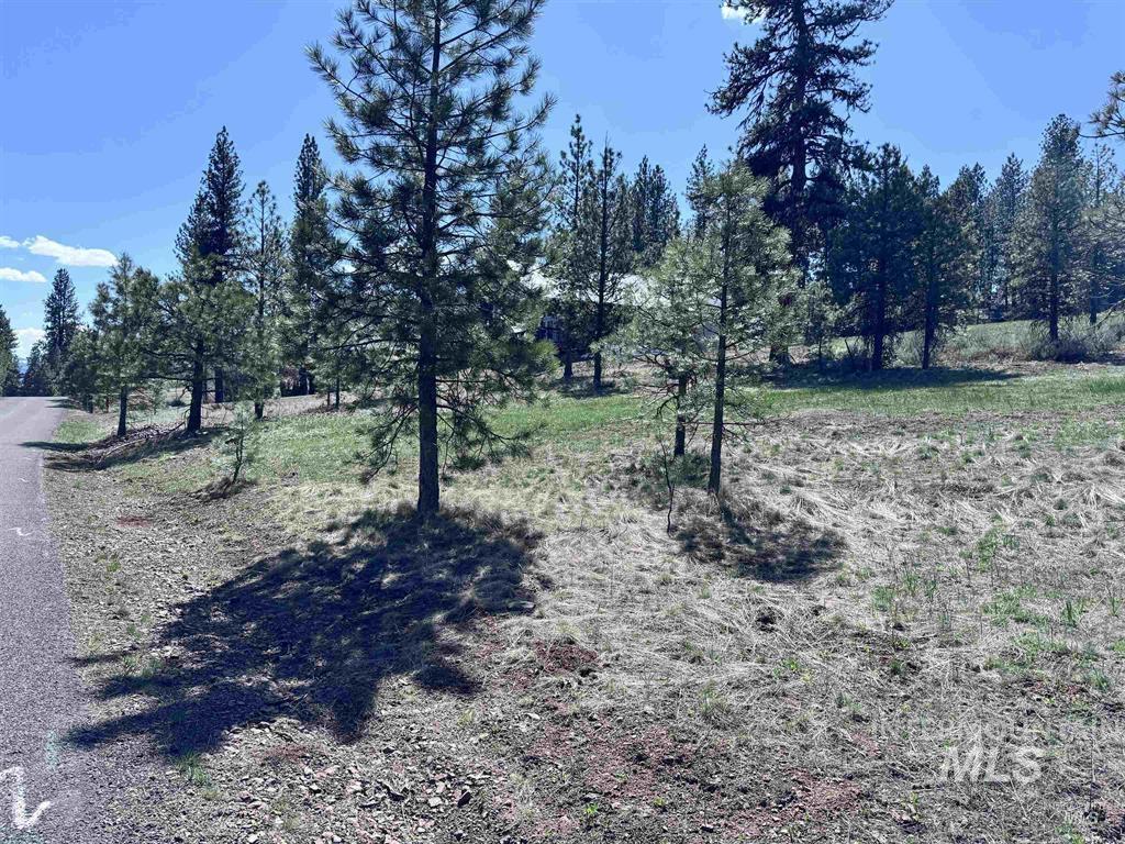Lot 19 Hot Springs Road New Meadows, ID 83654 - Photo 5 of 28