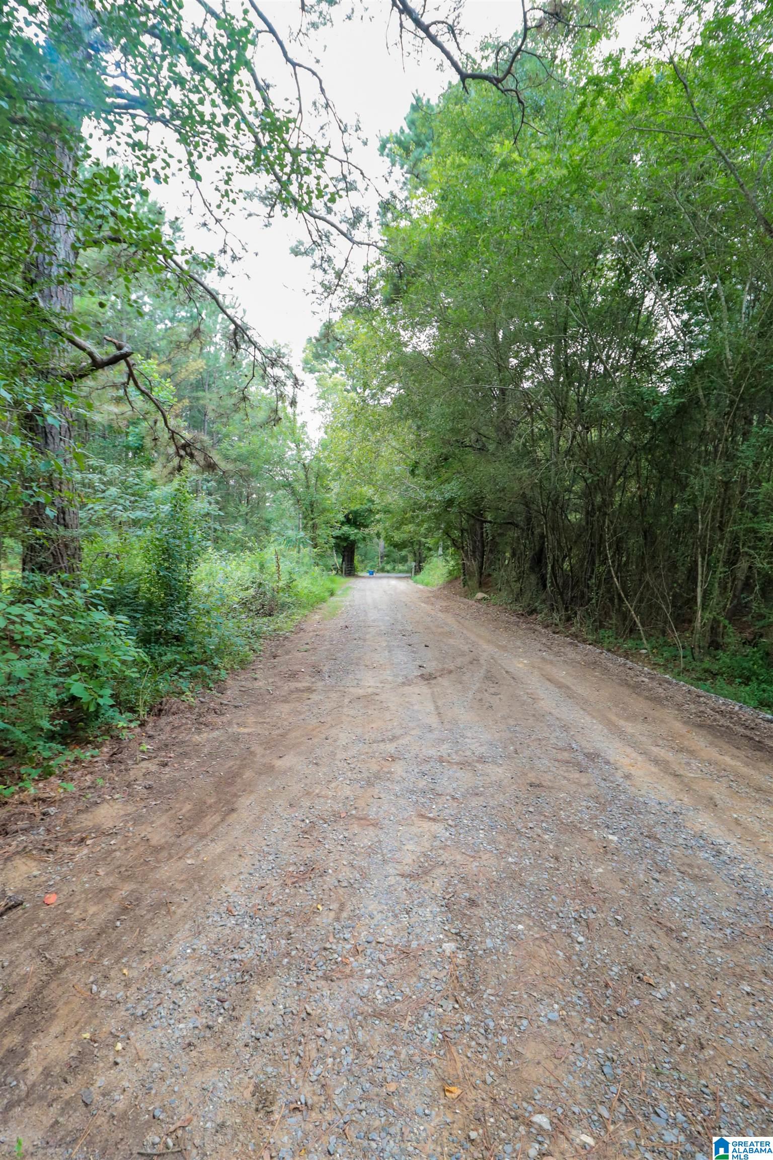 6130 Spunky Hollow Road Locust Fork, AL 35097 - Photo 2 of 45