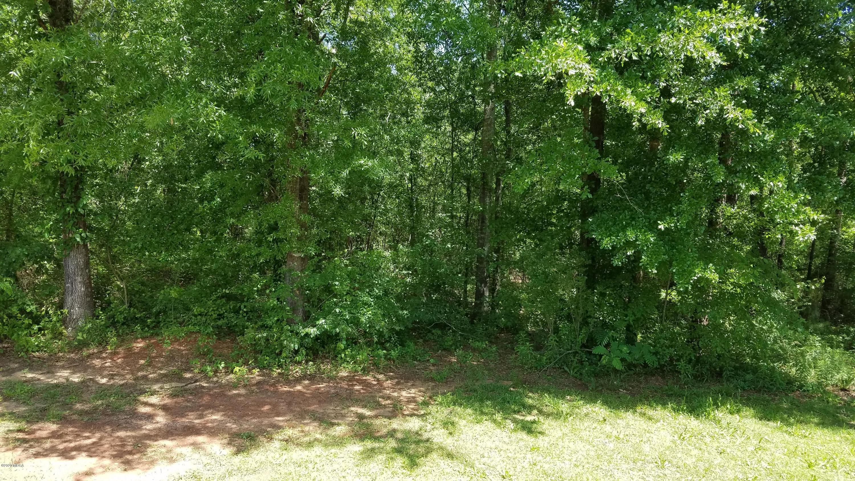 10127 Lower Thomaston Road Macon, GA 31220 - Photo 9 of 33 8