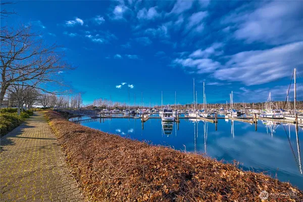 a view of water with boats and trees