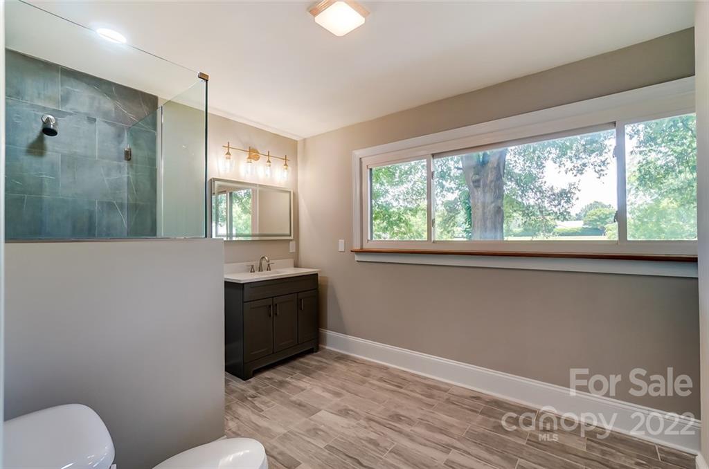 3001 Morgan Mill Road Monroe, NC 28110 - Photo 17 of 36 a bathroom with a sink mirror vanity and toilet