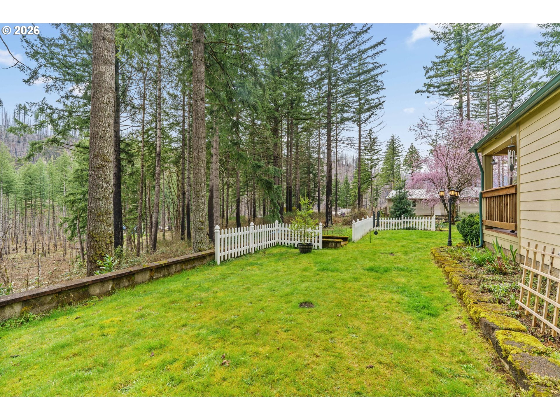 49400 Eagle Rock Place Vida, OR 97488 - Photo 29 of 48 a view of a back yard