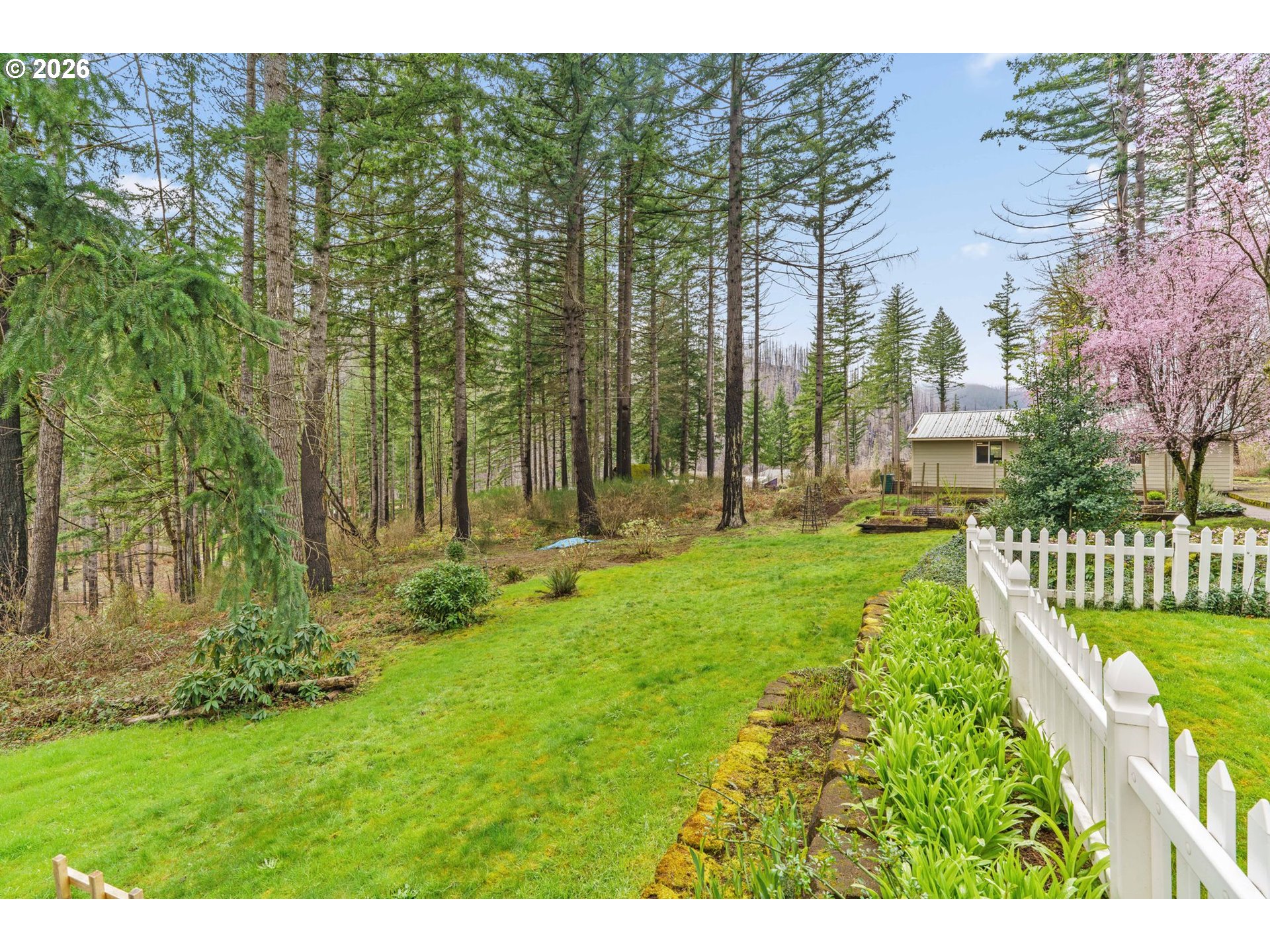 49400 Eagle Rock Place Vida, OR 97488 - Photo 30 of 48 a view of a garden with a house
