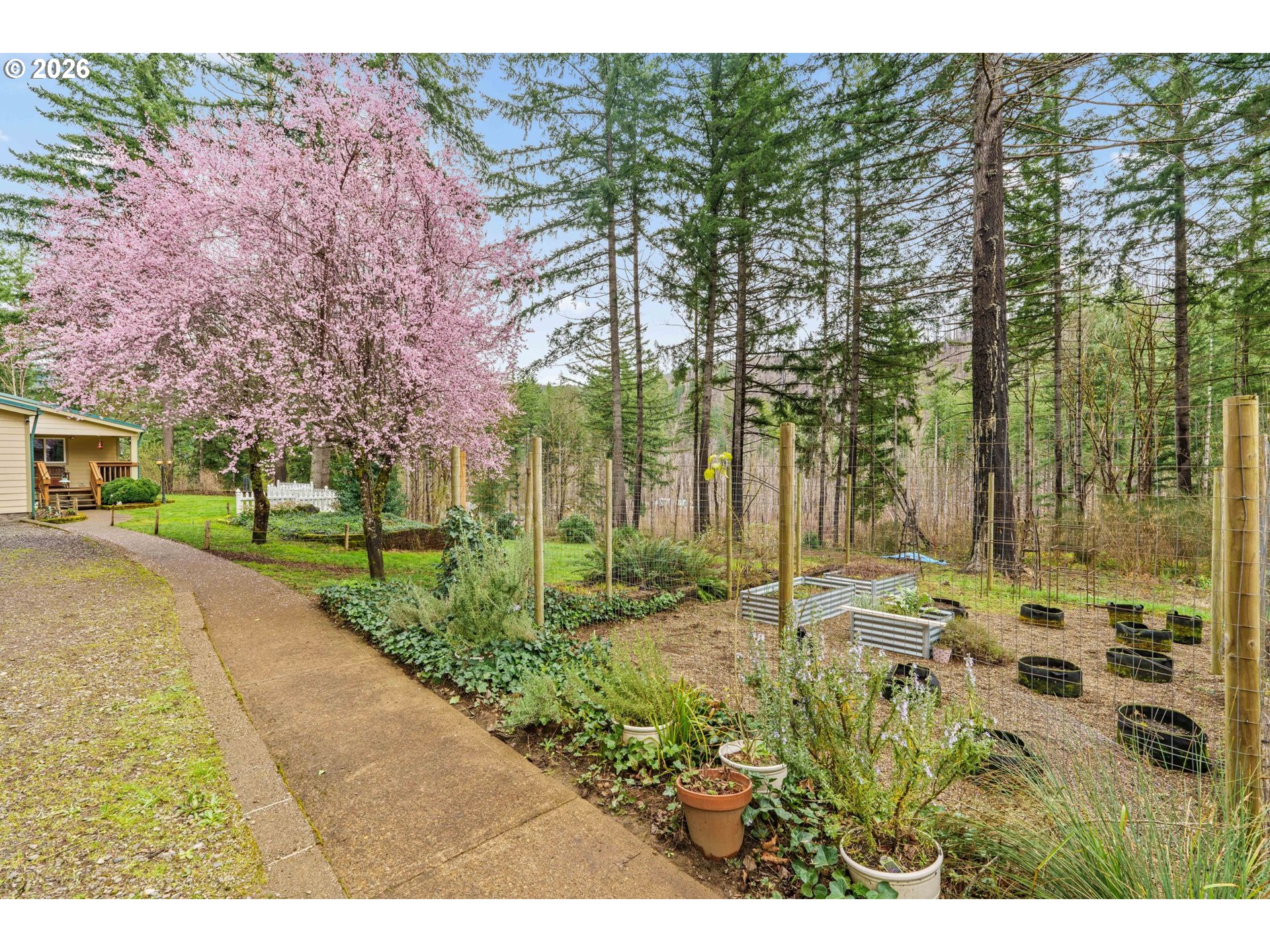 49400 Eagle Rock Place Vida, OR 97488 - Photo 3 of 48 a view of a garden with a building