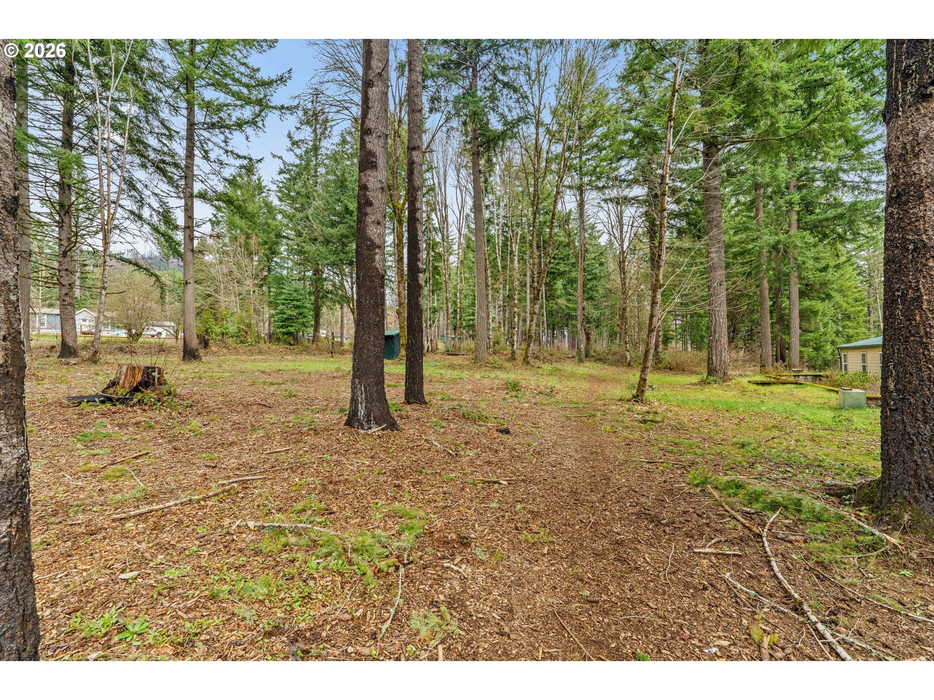 49400 Eagle Rock Place Vida, OR 97488 - Photo 33 of 48 a view of outdoor space with trees