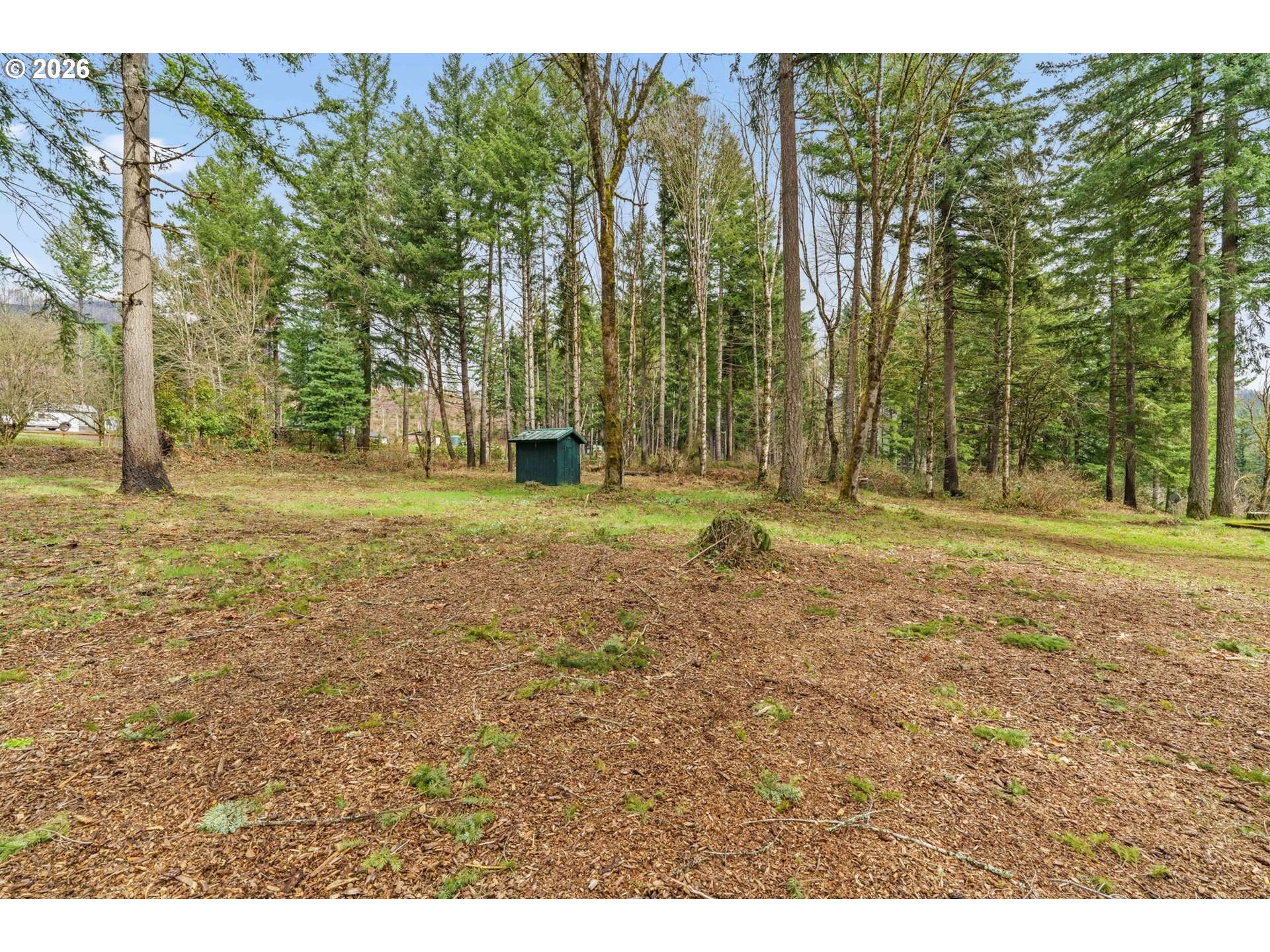 49400 Eagle Rock Place Vida, OR 97488 - Photo 35 of 48 a backyard of a house with lots of green space