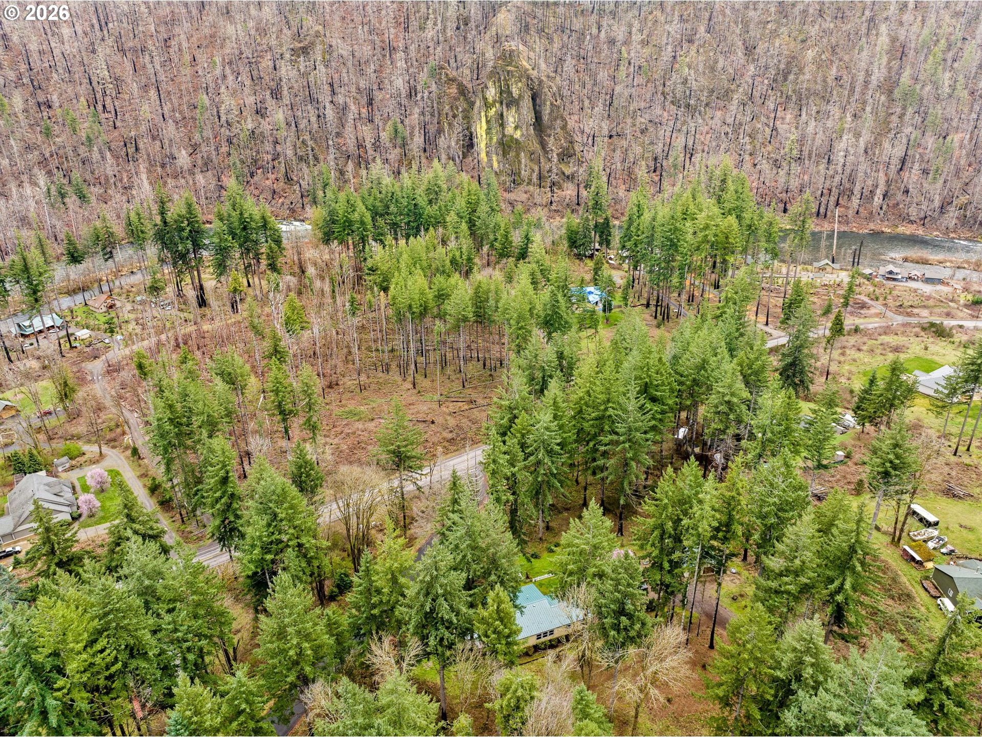 49400 Eagle Rock Place Vida, OR 97488 - Photo 40 of 48 a view of a forest with a tree