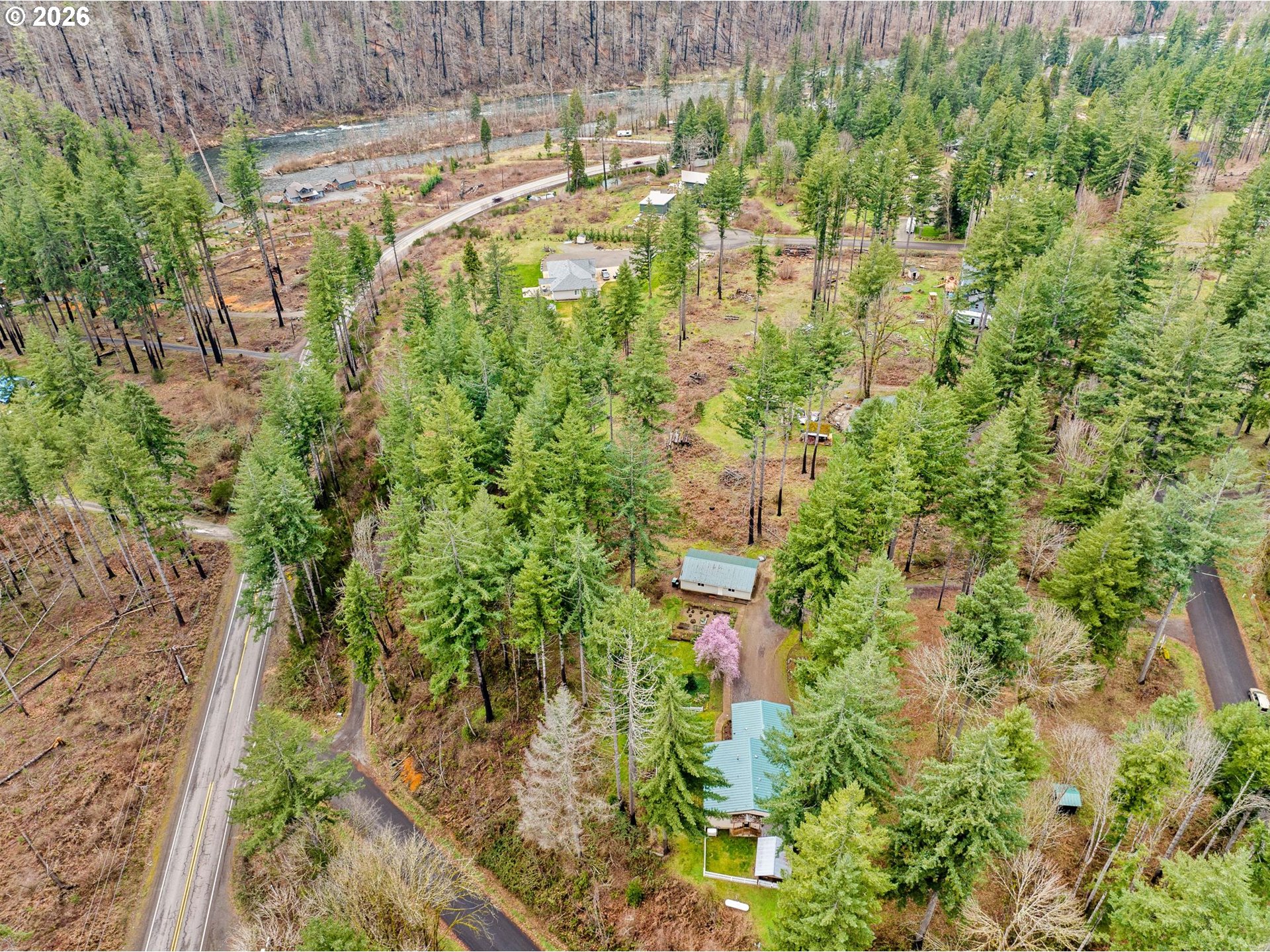 49400 Eagle Rock Place Vida, OR 97488 - Photo 41 of 48 a backyard of a building with lots of trees
